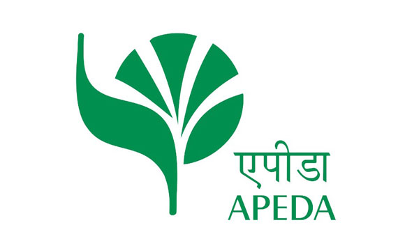 Apeda