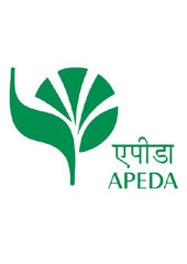 APEDA Certificate